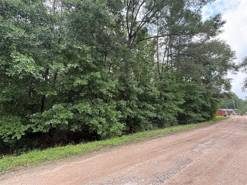 19169 Kings Row, New Caney, Texas image 3