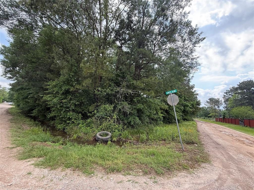 19169 Kings Row, New Caney, Texas image 1