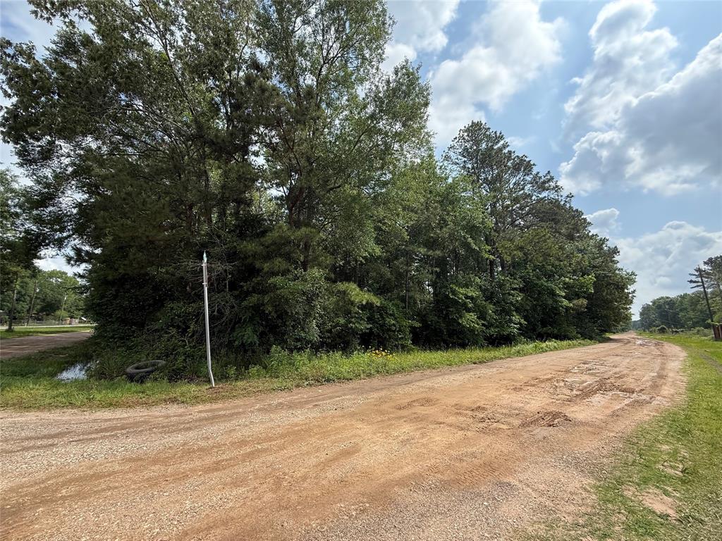 19169 Kings Row, New Caney, Texas image 6