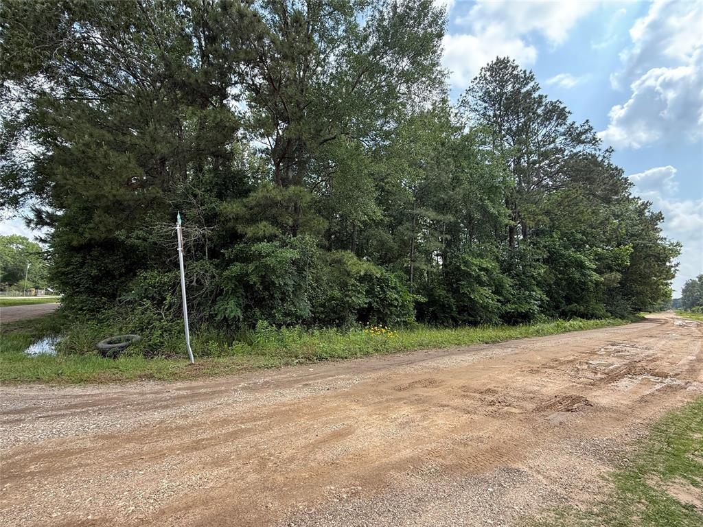 19169 Kings Row, New Caney, Texas image 12