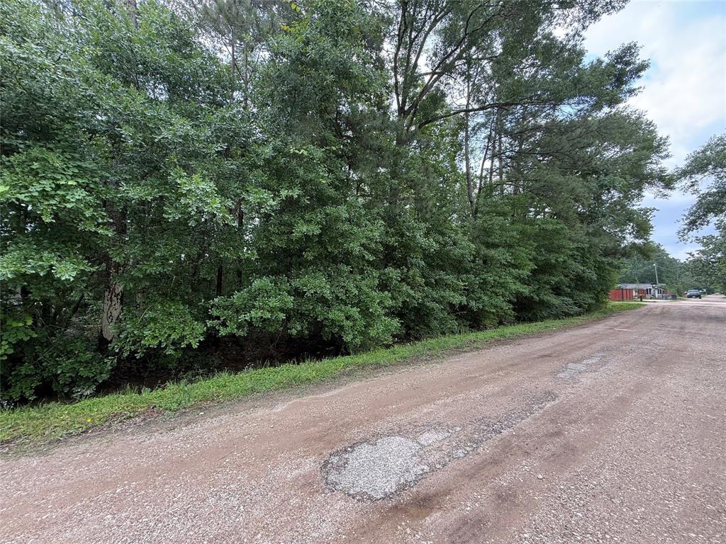 19169 Kings Row, New Caney, Texas image 11