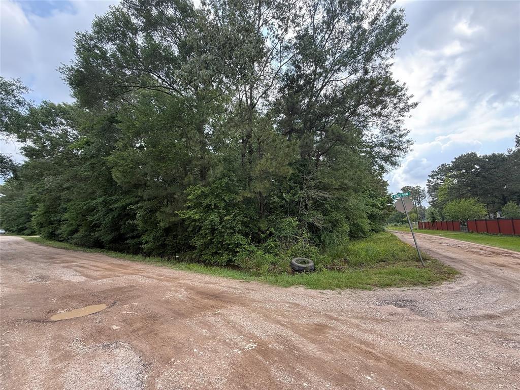 19169 Kings Row, New Caney, Texas image 4