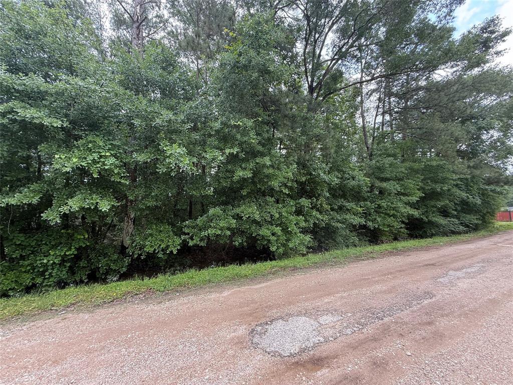 19169 Kings Row, New Caney, Texas image 2