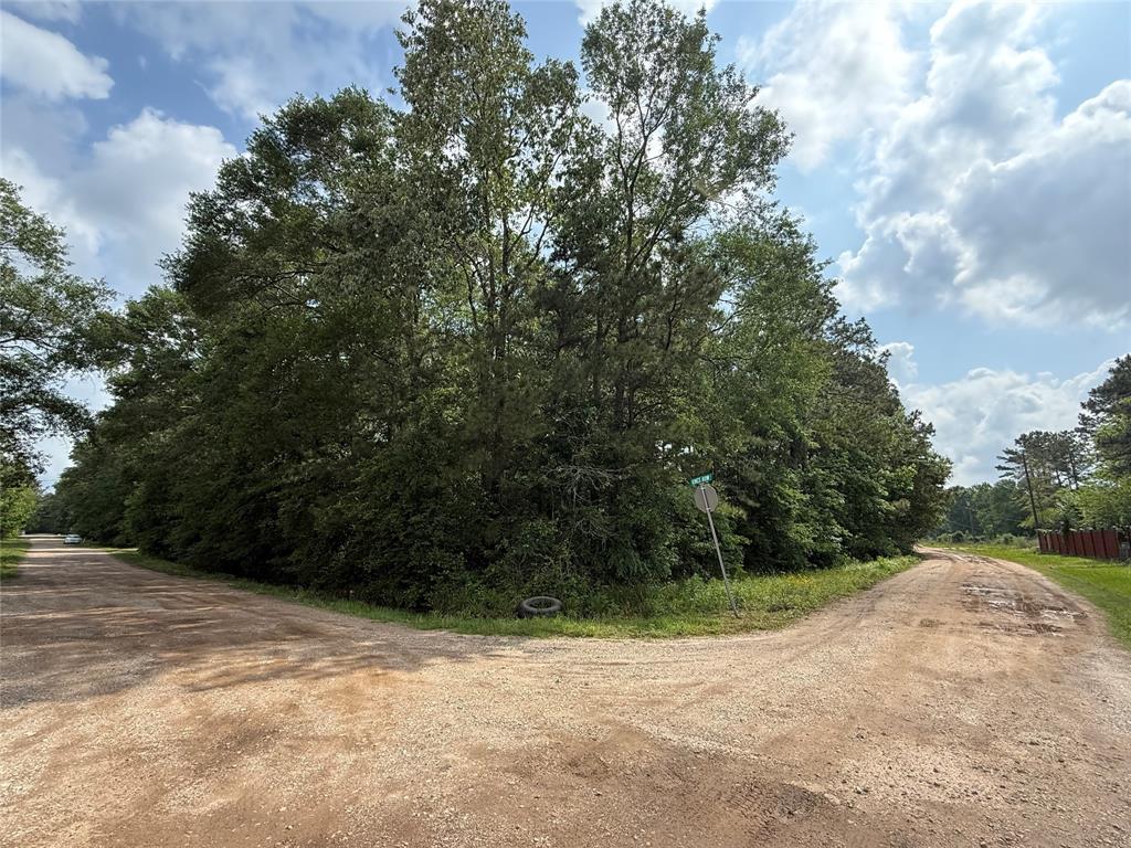 19169 Kings Row, New Caney, Texas image 13
