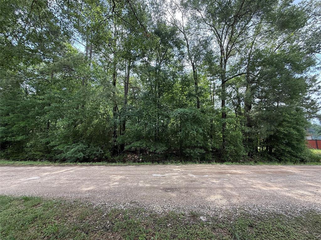 19169 Kings Row, New Caney, Texas image 9
