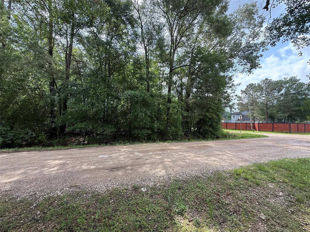 19169 Kings Row, New Caney, Texas image 10