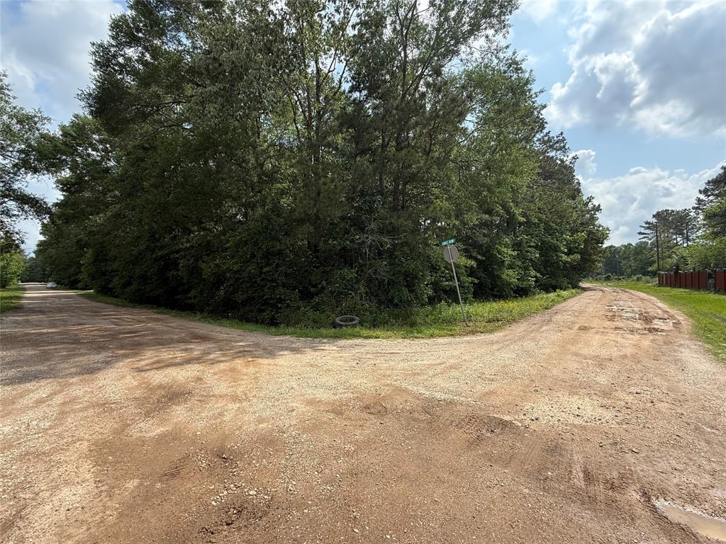 19169 Kings Row, New Caney, Texas image 14