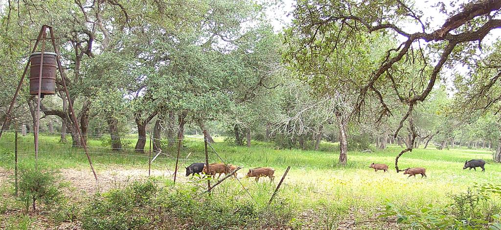 TBD2 County Road 19, Garwood, Texas image 4