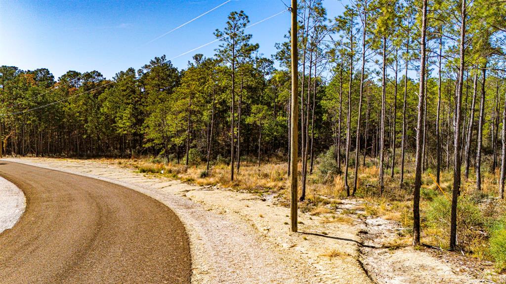 025 Magnolia Ranch Rd Road, Onalaska, Texas image 13