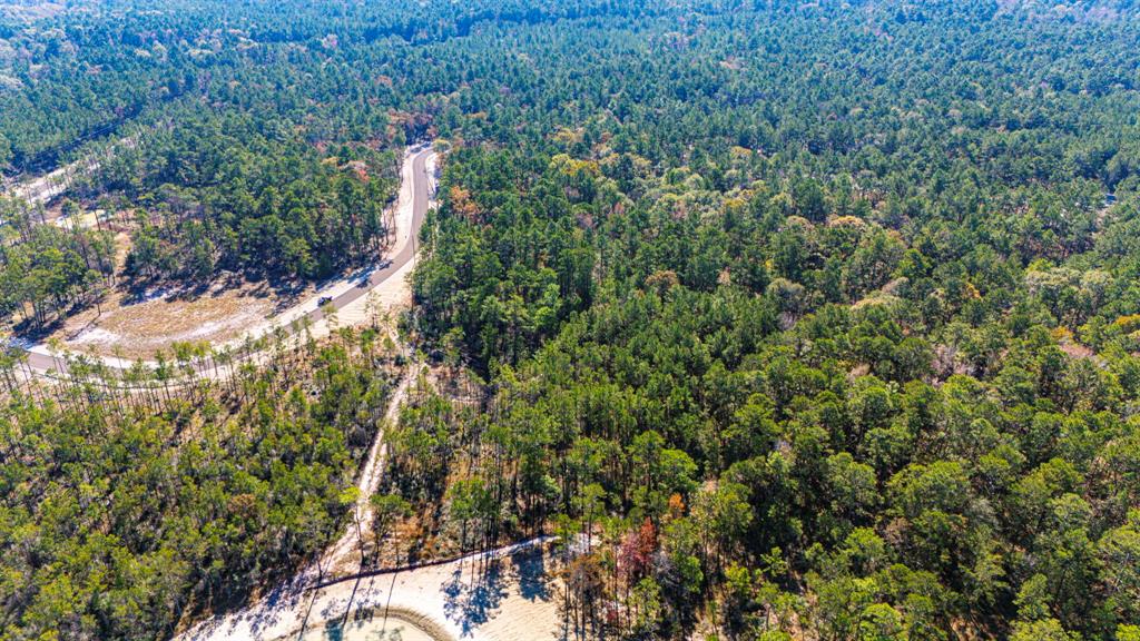 025 Magnolia Ranch Rd Road, Onalaska, Texas image 8