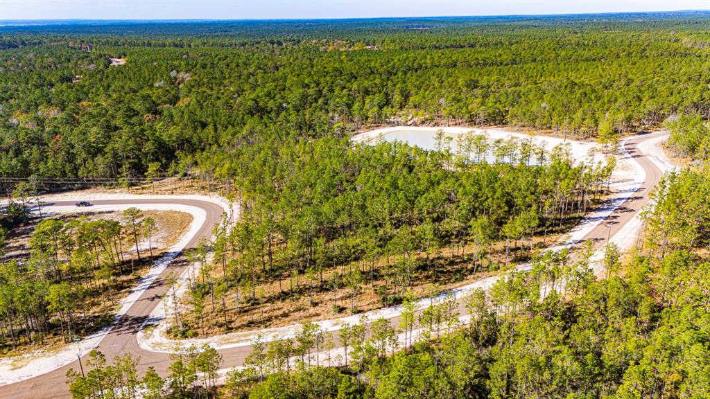 025 Magnolia Ranch Rd Road, Onalaska, Texas image 11