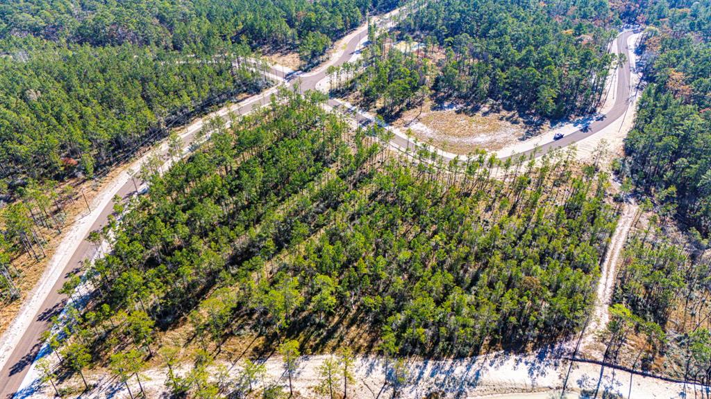 025 Magnolia Ranch Rd Road, Onalaska, Texas image 9