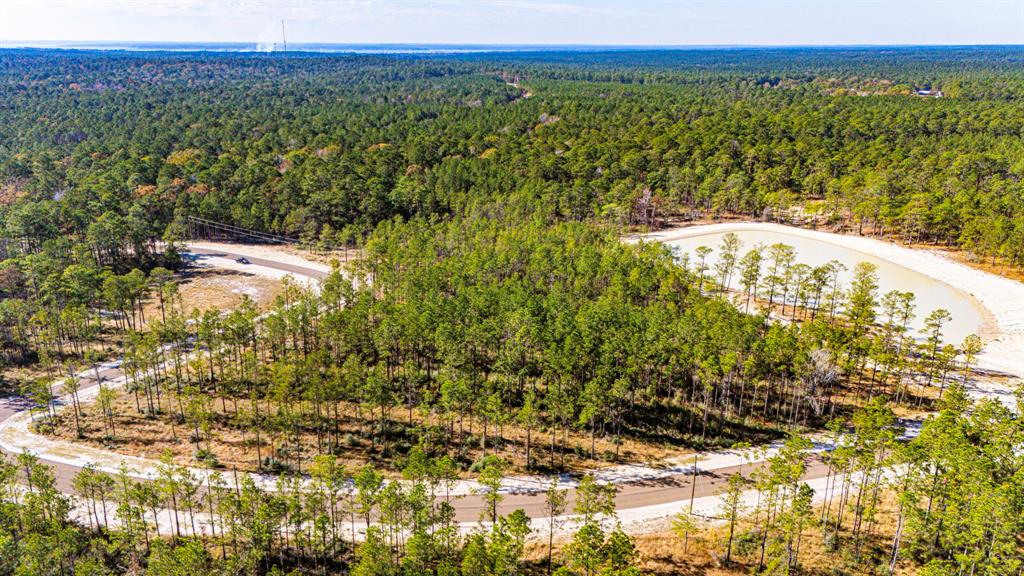 025 Magnolia Ranch Rd Road, Onalaska, Texas image 12