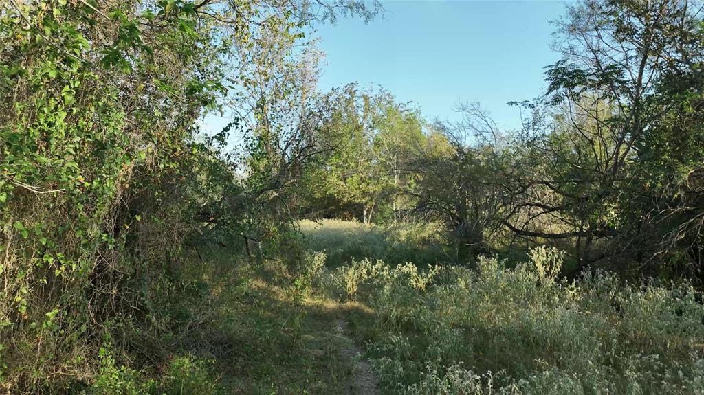 9526 Kerr Rd, Brookshire, Texas image 23
