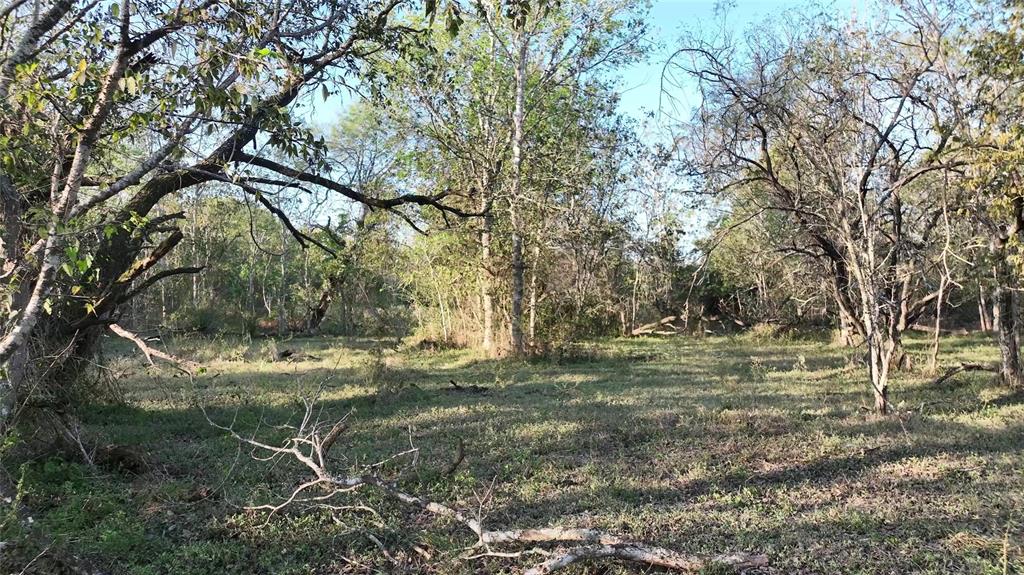 9526 Kerr Rd, Brookshire, Texas image 29