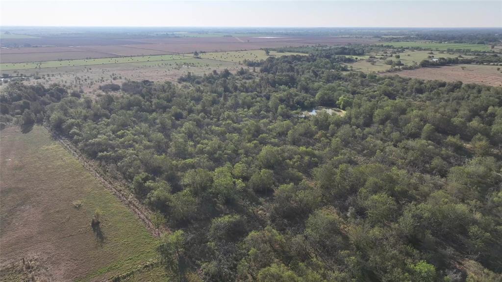 9526 Kerr Rd, Brookshire, Texas image 31