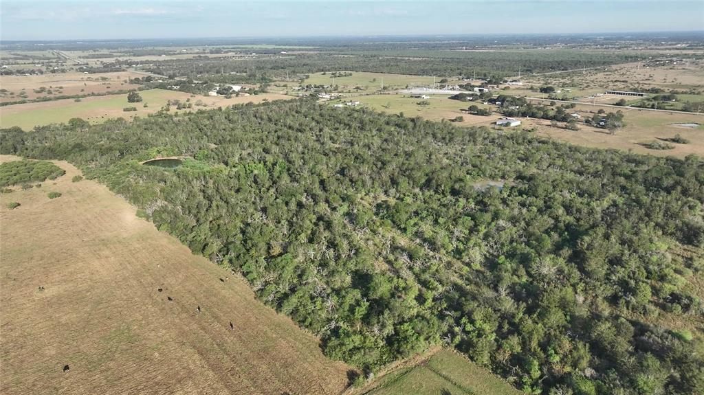 9526 Kerr Rd, Brookshire, Texas image 24