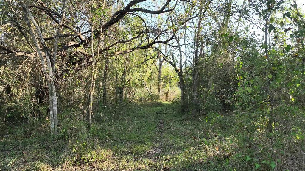 9526 Kerr Rd, Brookshire, Texas image 25