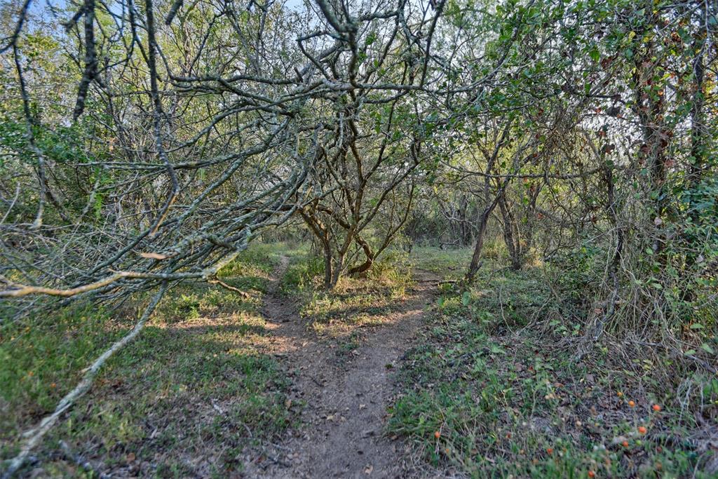 9526 Kerr Rd, Brookshire, Texas image 13