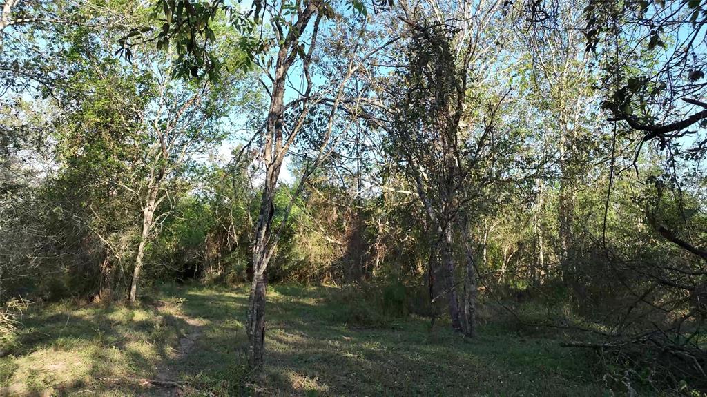 9526 Kerr Rd, Brookshire, Texas image 30