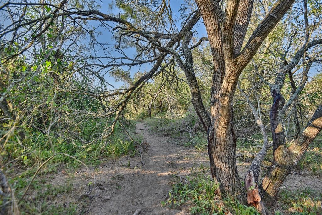 9526 Kerr Rd, Brookshire, Texas image 12