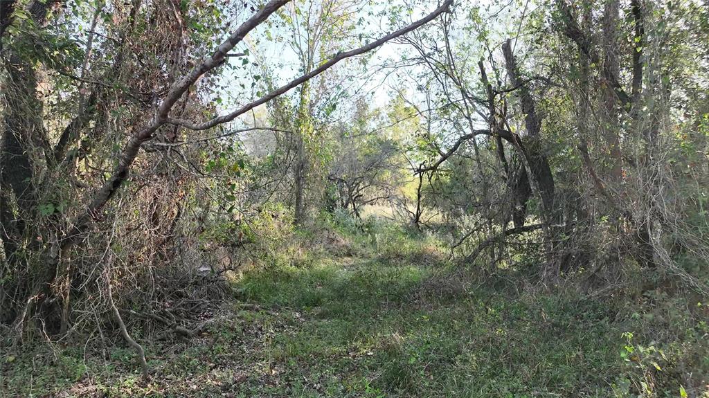 9526 Kerr Rd, Brookshire, Texas image 32