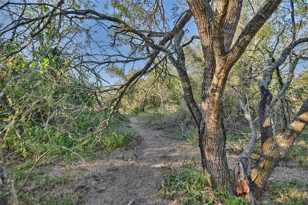 9526 Kerr Rd, Brookshire, Texas image 4