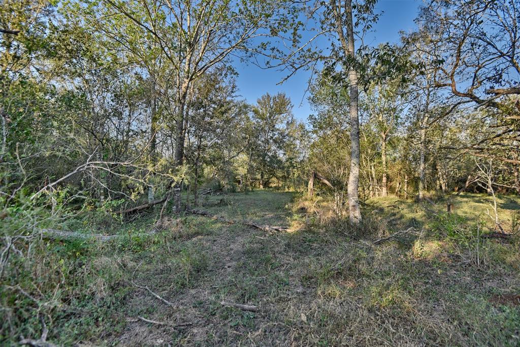 9526 Kerr Rd, Brookshire, Texas image 15