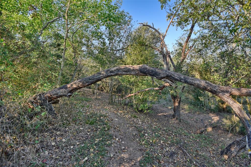 9526 Kerr Rd, Brookshire, Texas image 7
