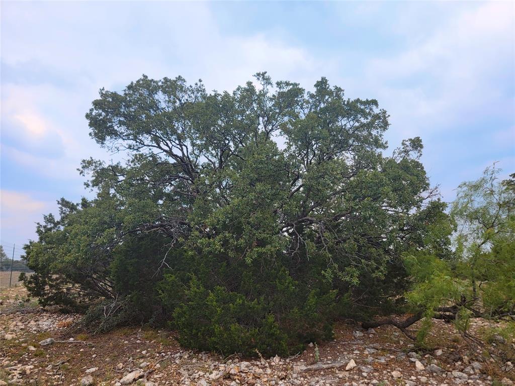 Lot 65 Brandon Ranch, Menard, Texas image 7