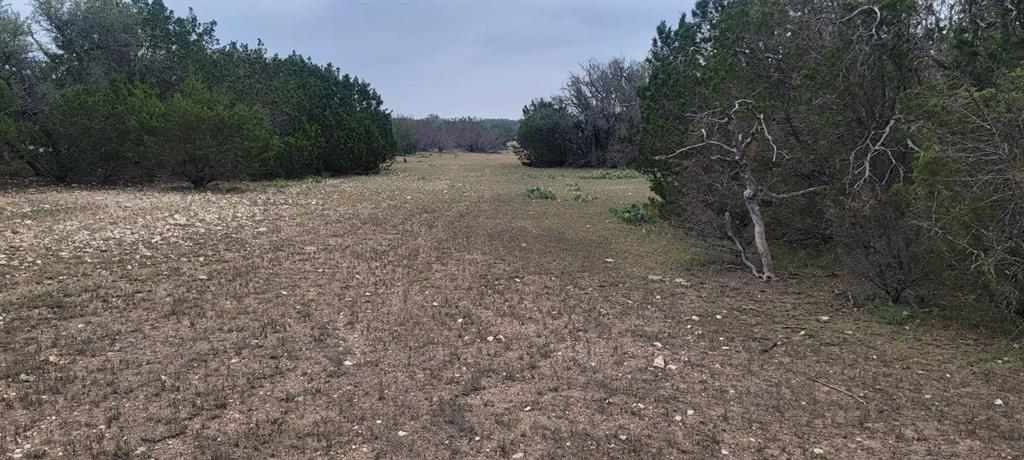 Lot 65 Brandon Ranch, Menard, Texas image 21