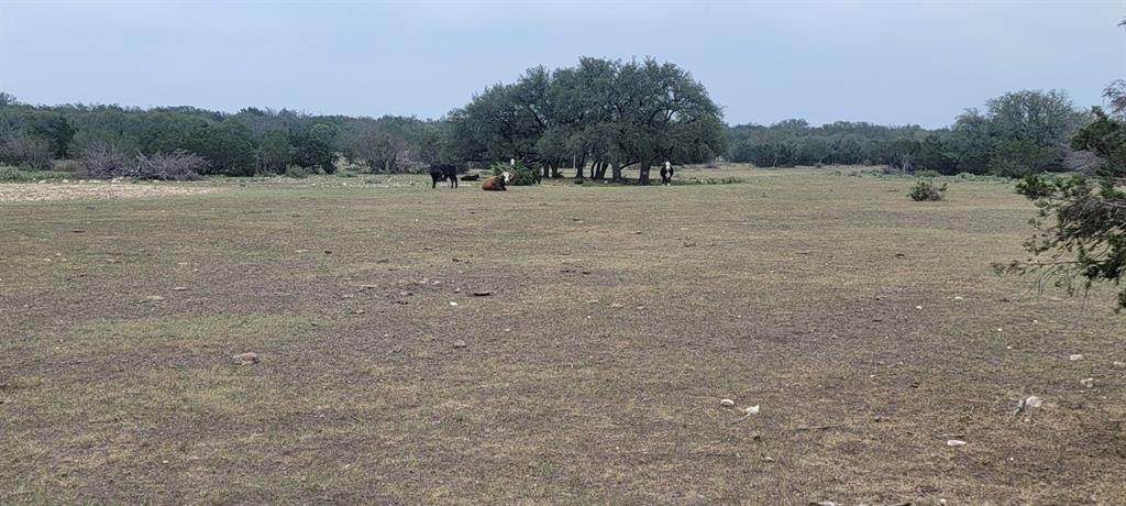 Lot 65 Brandon Ranch, Menard, Texas image 25