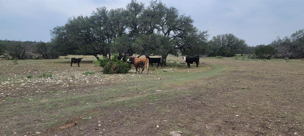 Lot 65 Brandon Ranch, Menard, Texas image 17