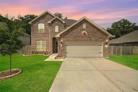 A home in Woodbranch