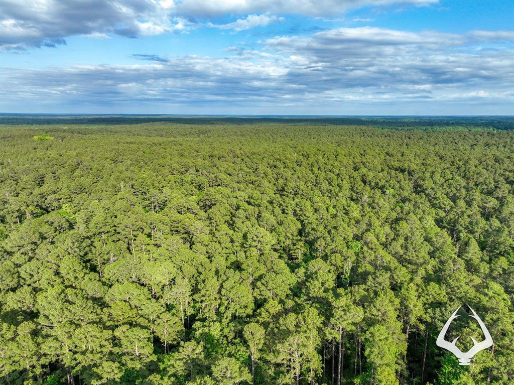 TBD County Road 4690, Kennard, Texas image 12