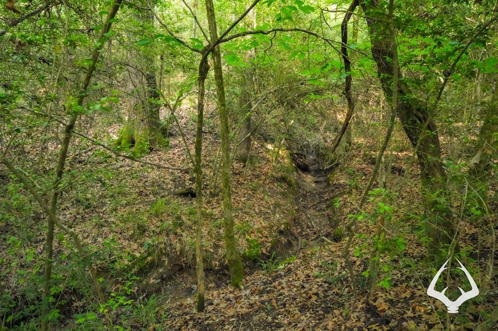 TBD County Road 4690, Kennard, Texas image 23