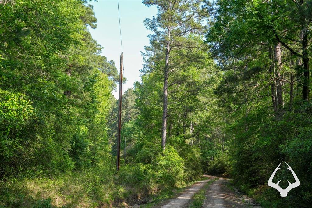 TBD County Road 4690, Kennard, Texas image 6