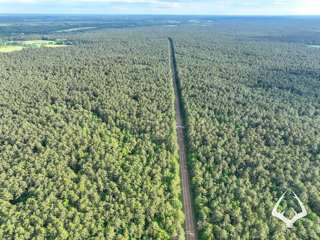 TBD County Road 4690, Kennard, Texas image 13