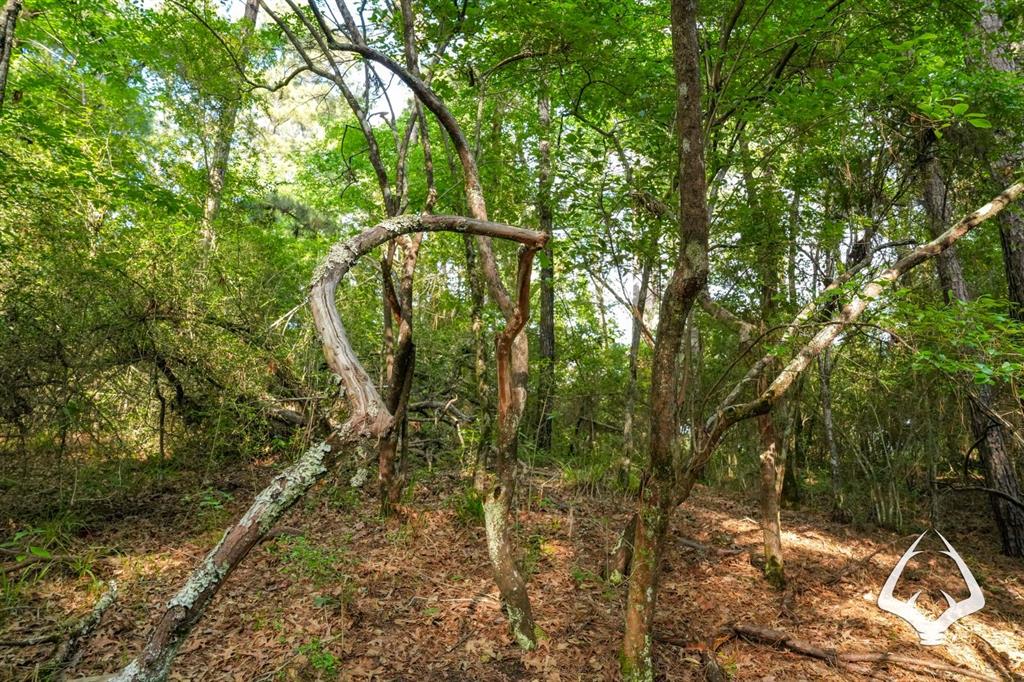 TBD County Road 4690, Kennard, Texas image 33