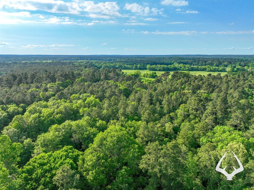 TBD County Road 4690, Kennard, Texas image 21