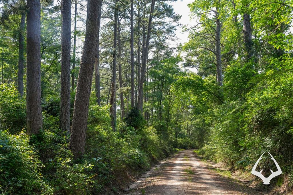 TBD County Road 4690, Kennard, Texas image 3