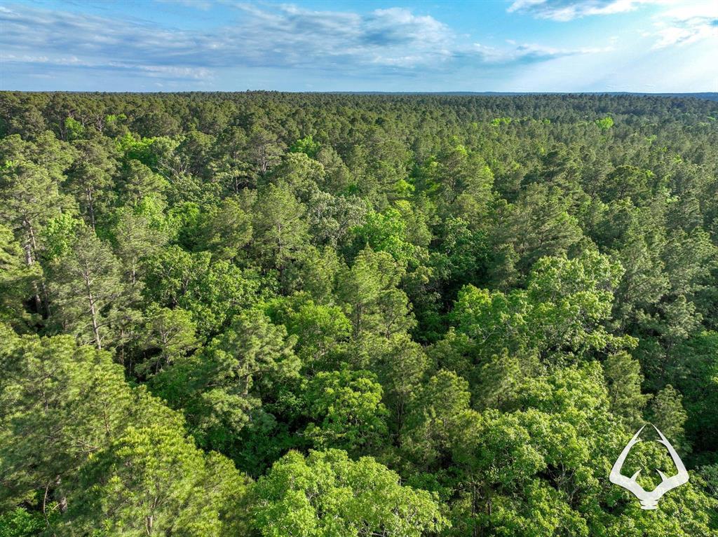TBD County Road 4690, Kennard, Texas image 34