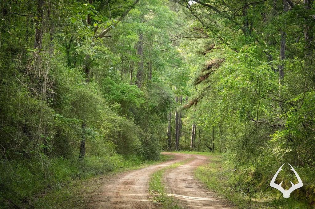 TBD County Road 4690, Kennard, Texas image 14