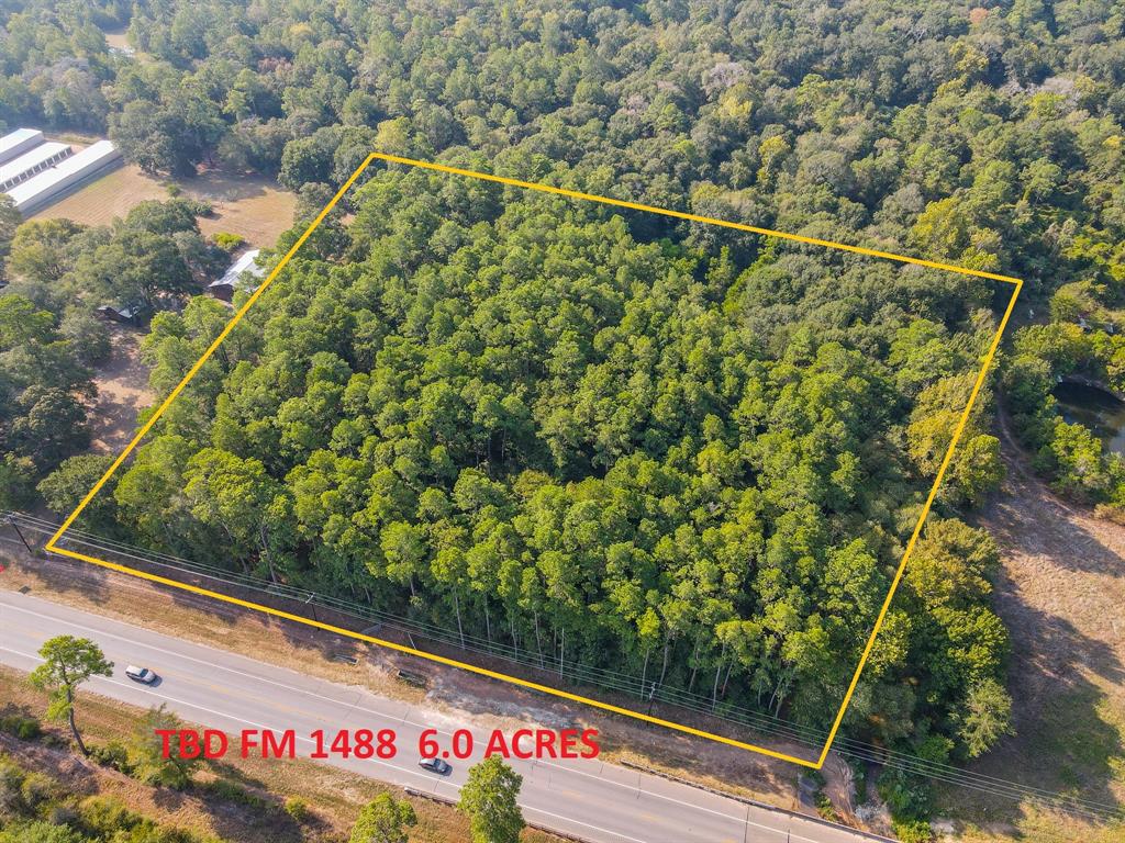 TBD Fm 1488, Magnolia, Texas image 3