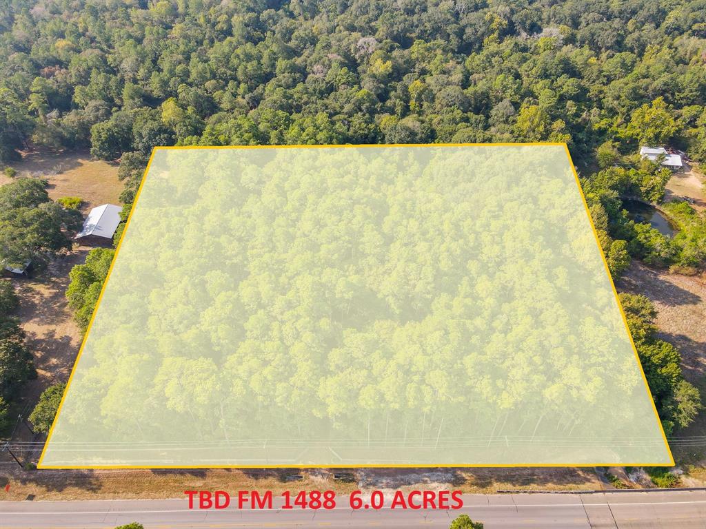 TBD Fm 1488, Magnolia, Texas image 2