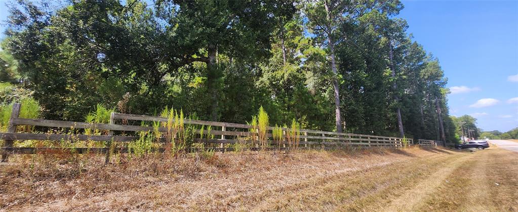 TBD Fm 1488, Magnolia, Texas image 6