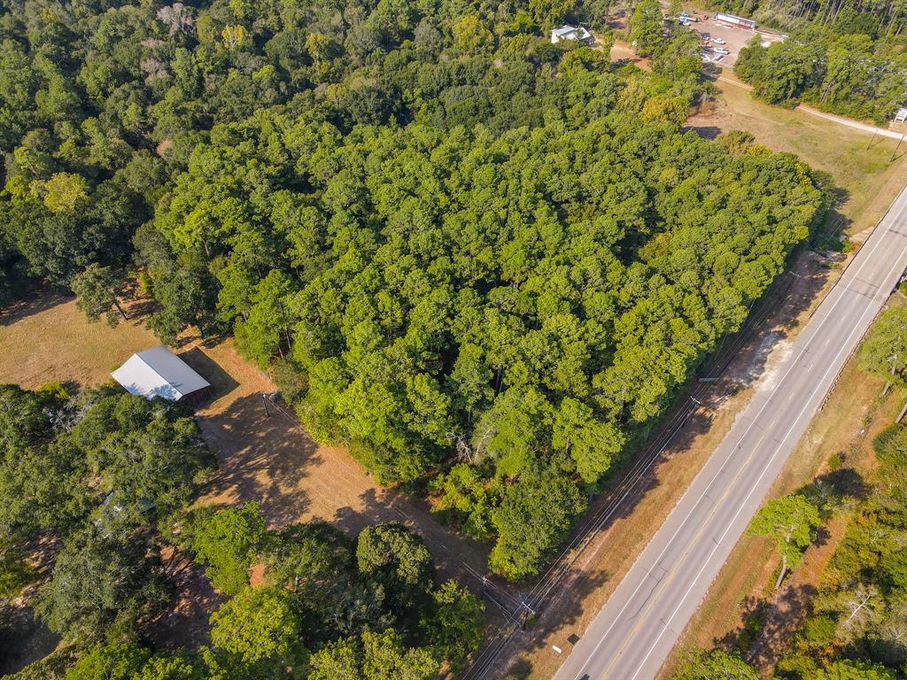 TBD Fm 1488, Magnolia, Texas image 4