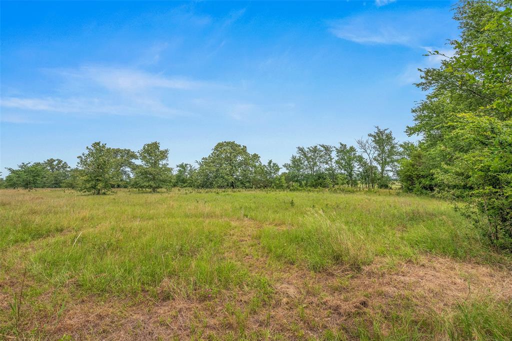 7015 C6 Ranch Road Road, Bryan, Texas image 12