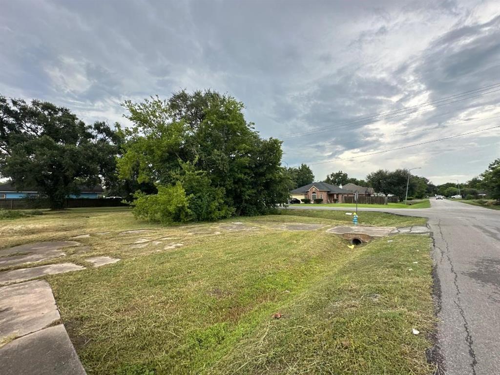 Houston, Texas 77051, United States, ,Land,Active,184570