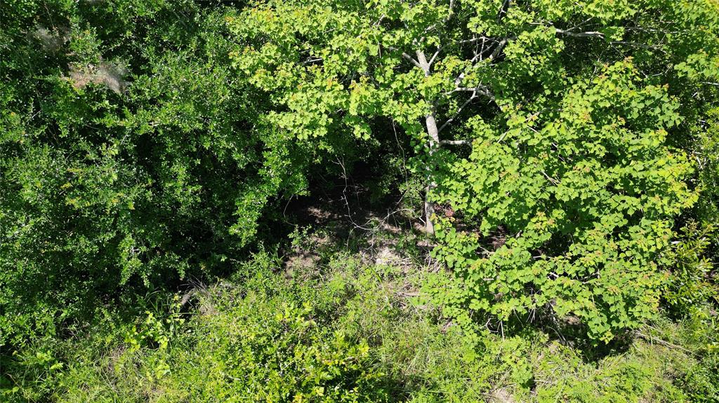 Burr Lane, Winnie, Texas image 13